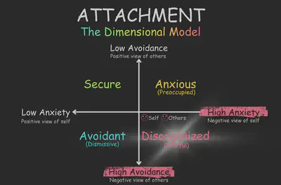 Avoidant Dimensional Model Disorganized Quadrant