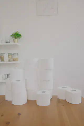 Toilet Paper Rolls