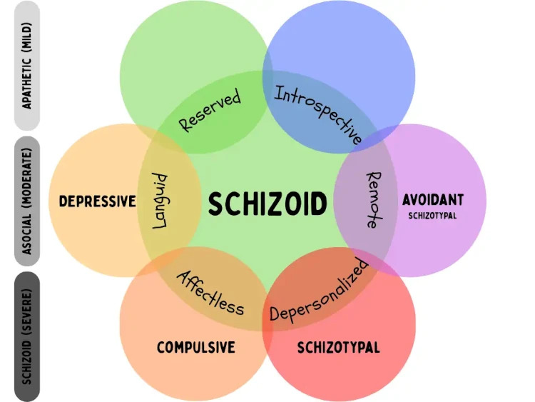 Schizoid Personality Subtypes (Millon’s and Ours)