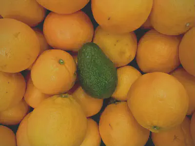 Oranges Around Green Avacado