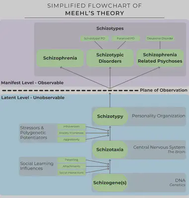 Simplified Flowchart of Meehl’s Theory